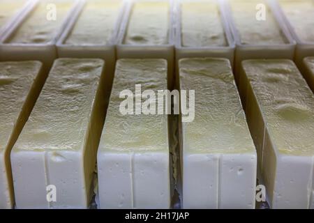 Arbeiter, der frischen Käse aus Schimmel in einer modernen Fabrik nimmt, Nahaufnahme. Formen mit gepresstem Käse in moderner Fabrik, Nahaufnahme. Stockfoto