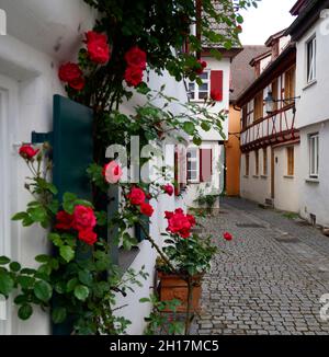 Eine wunderschöne schmale Straße mit roten Rosen an den Fassaden in der romantischen bayerischen Stadt Guenzburg (Deutschland) Stockfoto