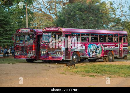 ANURADHAPURA, SRI LANKA - 04. FEBRUAR 2020: Zwei Touristenbusse "Lanka Ashok Leyland" an einem sonnigen Tag Stockfoto