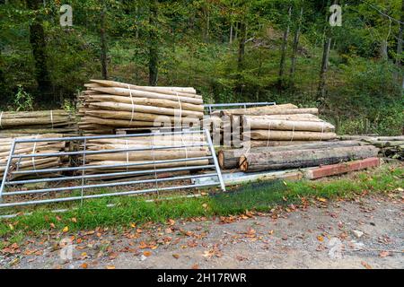 Nicht gesägte Baumstämme bündeln hölzerne Zaunpfosten, runde Holzstapel Stockfoto