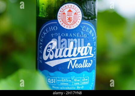 Wolzhsky, Russland-25. September 2021: Budvar nealko nicht-alkoholische Nahaufnahme. Selektiver Fokus Stockfoto