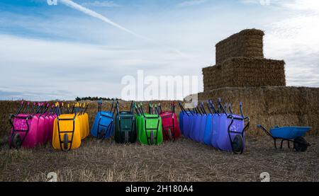 Bunte Schubkarren für Besucher auf einem Kürbisfeld, Kilduff Farm, East Lothian, Schottland, Großbritannien Stockfoto