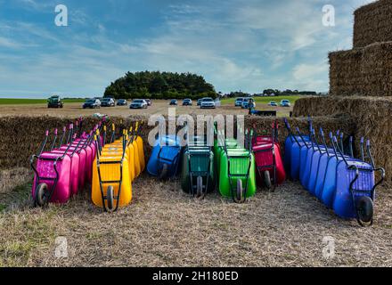 Bunte Schubkarren für Besucher auf einem Kürbisfeld, Kilduff Farm, East Lothian, Schottland, Großbritannien Stockfoto