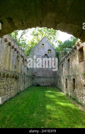 Klosterruine von Disibodenberg, bei Bad Kreuznach, Rheinland-Pfalz, Deutschland, Europa, Hildegard von Bingen lebte hier von 1112 bis 1147 Stockfoto