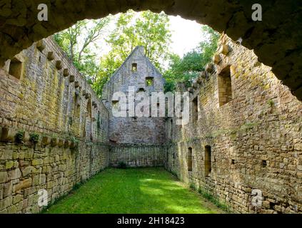 Klosterruine von Disibodenberg, bei Bad Kreuznach, Rheinland-Pfalz, Deutschland, Europa, Hildegard von Bingen lebte hier von 1112 bis 1147 Stockfoto