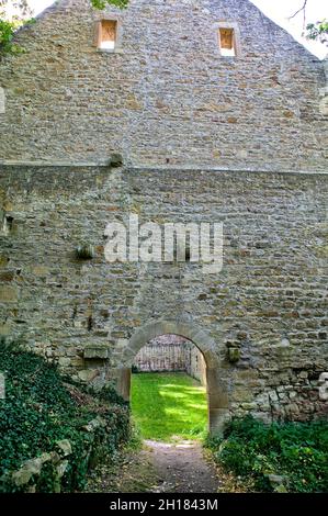 Klosterruine von Disibodenberg, bei Bad Kreuznach, Rheinland-Pfalz, Deutschland, Europa, Hildegard von Bingen lebte hier von 1112 bis 1147 Stockfoto