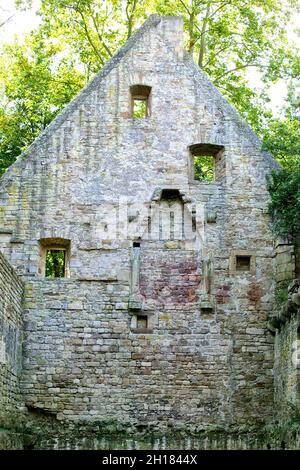 Klosterruine von Disibodenberg, bei Bad Kreuznach, Rheinland-Pfalz, Deutschland, Europa, Hildegard von Bingen lebte hier von 1112 bis 1147 Stockfoto