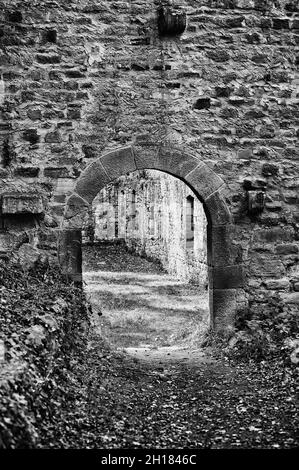 Klosterruine von Disibodenberg, bei Bad Kreuznach, Rheinland-Pfalz, Deutschland, Europa, Hildegard von Bingen lebte hier von 1112 bis 1147 Stockfoto