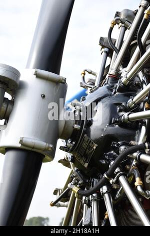 Nahaufnahme des Radialmotors von Pratt & Whitney Stockfoto