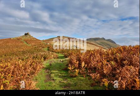 Der Höhenweg auf Caer Caradoc in Richtung Three Fingers Rock und dem Gipfel von Caer Caradoc, Church Stretton, Shropshire Stockfoto