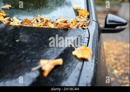 17. Oktober 2021, Schleswig-Holstein, Uetersen: Blätter befinden sich auf der Motorhaube und der Windschutzscheibe eines geparkten Autos. Foto: Jonas Walzberg/dpa Stockfoto