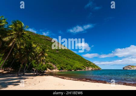 Ruhiges Wasser rollt bis zum abgeschiedenen weißen Sandstrand von Plage de la Pompierre. Terre de Haut, Iles des Saintes, Guadeloupe, Westindien. Stockfoto