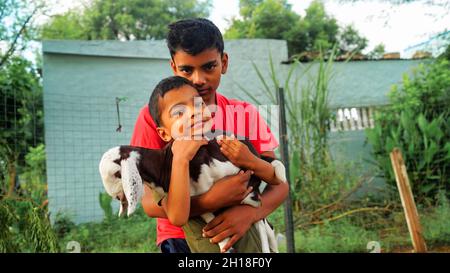 Zwei indische lustige Jungen mit einer Ziegenlinge. Kleine Kinder kümmern sich um das Ziegenballen auf dem Bauernhof. Ackerland. Dorfleben Stockfoto