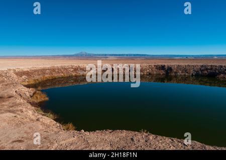 Die Lagunen, bekannt als die Ojos del Salar, im Salar de Atacama. Ojos de Salar, Salar de Atacama, Atacama-Wüste, Region Antofagasta, Chile. Stockfoto