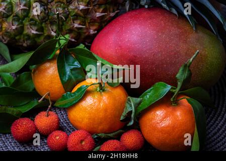 Stillleben mit tropischen Früchten, Mandarinen, Madrone, Mango und Ananas. Stockfoto