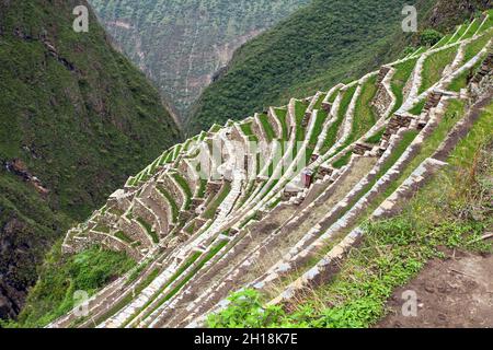 Choquequirao, eine der besten Inka-Ruinen in Peru. Choquequirao Inca Wanderweg in der Nähe von Machu Picchu. Cuzco Region in Peru Stockfoto