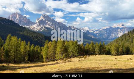 Lärchenholz und Tofano, Tofana oder Le Tofane Gruppe, Alpen Dolomiten, Italien Stockfoto