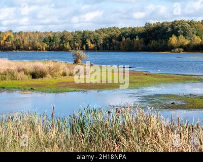 See und sumpfige Moore mit Moorgras und Schilf im Nationalpark Dwingelderverld, Drenthe, Niederlande Stockfoto