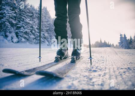 Skifahrer Skifahren auf den ersten Pisten Abfahrt am frühen Morgen auf Bergskigebiet in Kanada. Nahaufnahme von Beinen, Skiern, Stöcken gegen Sonnenaufgang Stockfoto