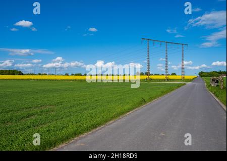 Stromleitungen durch Rapsfeld im Frühjahr in Skåne Schweden Stockfoto