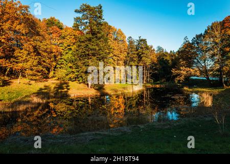 goldener Herbst am See - Herbstlandschaft in der Nähe des Teiches Stockfoto