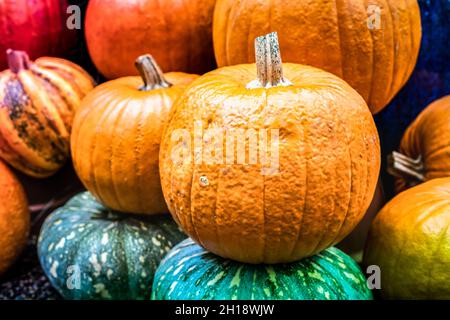 Bunte Kürbisse Hintergrund - Herbstfutter-Konzept mit vielfältiger Auswahl an farbigen Gemüse Stockfoto