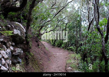 Sendero las siete Huertas en Taganana Stockfoto