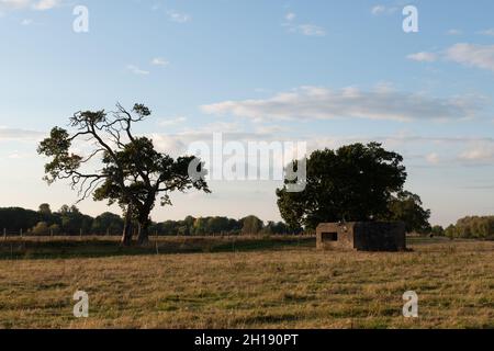 Ein Feld an der Themse auf dem Weg von Wallingford auf dem Thames Path nach Benson bleibt ein Pillbox aus dem Weltkrieg 2 Stockfoto