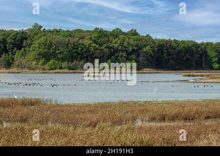 Landschaftlich schöner Blick auf die Natur in einem nationalen Refugium und Feuchtgebieten Stockfoto