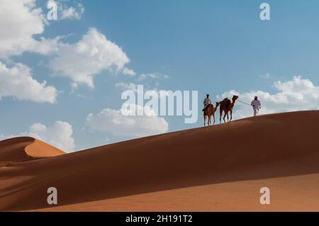 Ein Beduinenmensch, der ein Kamel führt, reitet auf dem Kamm einer Wüstensanddüne. Wahiba Sands, Oman. Stockfoto