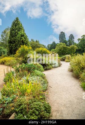 Blick auf den Botanischen Garten der Cambridge University in voller Blüte 2021. Stockfoto