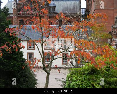 Herbstfarben in den Bäumen des Mount Stuart House: Das Stammhaus der Marquess of Bute und jetzt ein historisches Anwesen, das Besuchern zur Verfügung steht. Stockfoto