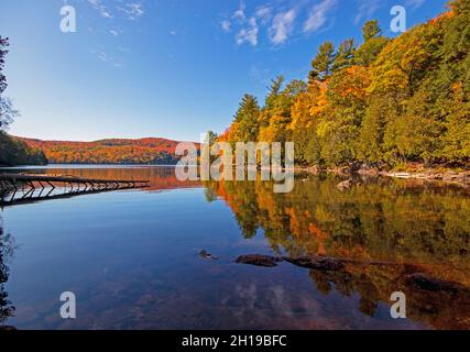 Bäume mit Herbstlaub, die sich auf ruhigem Wasser spiegeln - Meech Lake im Gatineau Park Stockfoto