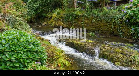 Der Bach fließt durch die wunderschönen Bodnant Gardens, Colwyn Bay, Wales, Großbritannien Stockfoto