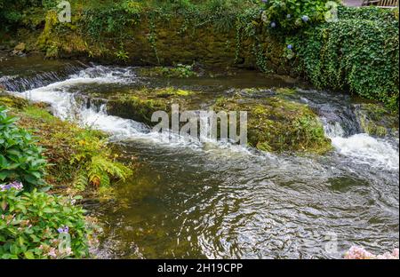 Der Bach fließt durch die wunderschönen Bodnant Gardens, Colwyn Bay, Wales, Großbritannien Stockfoto