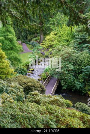 Der Bach fließt durch die wunderschönen Bodnant Gardens, Colwyn Bay, Wales, Großbritannien Stockfoto