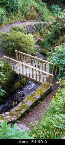 Der Bach fließt durch die wunderschönen Bodnant Gardens, Colwyn Bay, Wales, Großbritannien Stockfoto