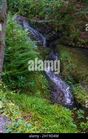 Der Bach fließt durch die wunderschönen Bodnant Gardens, Colwyn Bay, Wales, Großbritannien Stockfoto