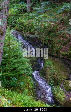 Der Bach fließt durch die wunderschönen Bodnant Gardens, Colwyn Bay, Wales, Großbritannien Stockfoto