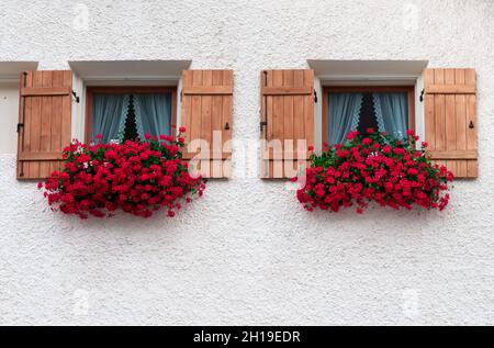 Zwei identische Fenster eines Hauses in Samnaun mit Holzfenstern, die mit üppigen roten Blumen geschmückt sind Stockfoto