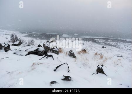 Ein Schneesturm an der Küste bei Nordmela. Nordmela, Vesteralen, Nordland, Norwegen. Stockfoto