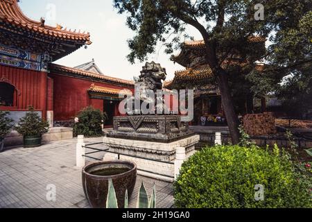 Eine Bronzestatue des Schutzlöwens im Lama-Tempelkomplex, einem buddhistischen Tempel in Peking, China. Stockfoto