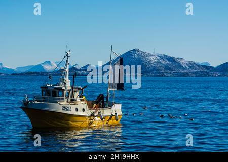 Ein Fischerboot in der Bucht von Svolvaer. Svolvaer Bay, Lofoten Islands, Nordland, Norwegen. Stockfoto