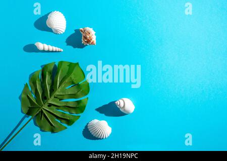 Kreative Komposition mit Muscheln und tropischen Palmenblättern auf pastellblauem Hintergrund. Minimalkonzept für den Sommer. Stockfoto