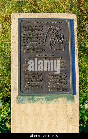 Gedenktafel zur Erinnerung an die Schlacht um den Mametz-Wald am Denkmal der 38. Welsh Division in Carnoy-Mametz (Somme), Frankreich Stockfoto