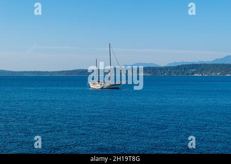 In der Bucht von Port Townsend, Washington, begrüßt ein einflügliches Segelboot die Morgensonne Stockfoto