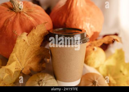 Kaffee Take Away Tasse im Herbst Kürbis aufgestellt. Kürbis-Latte mit Schlagsahne und frischem Zimt würzen. Kaffee zum trinken Stockfoto