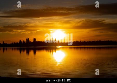 Sonnenuntergang über dem Astotin Lake Ende Oktober, Baumgrenze in der Ferne Stockfoto