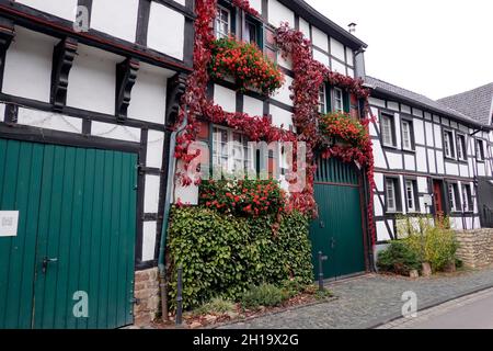 Malerisches Fachwerkidyll, altes Haus mit Wildwein, Kommern, Nordrhein-Westfalen, Deutschland Stockfoto