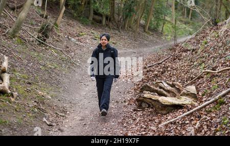 Britisch-asiatische Inderin, die allein im Winter durch Wald oder Wald auf einem Fußweg in englischer Landschaft, Großbritannien, wandert Stockfoto